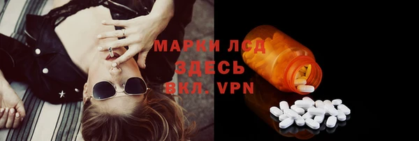 спайс Алзамай