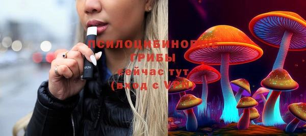 спайс Алзамай