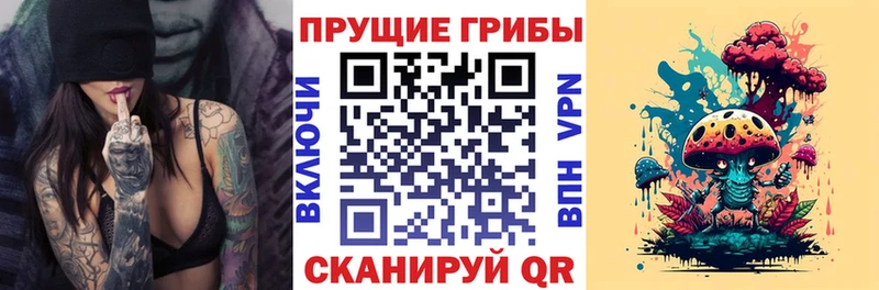 ссылка на мегу зеркало  Тула  Псилоцибиновые грибы GOLDEN TEACHER 